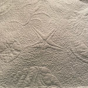 C & F Seashell F/Q Quilt
